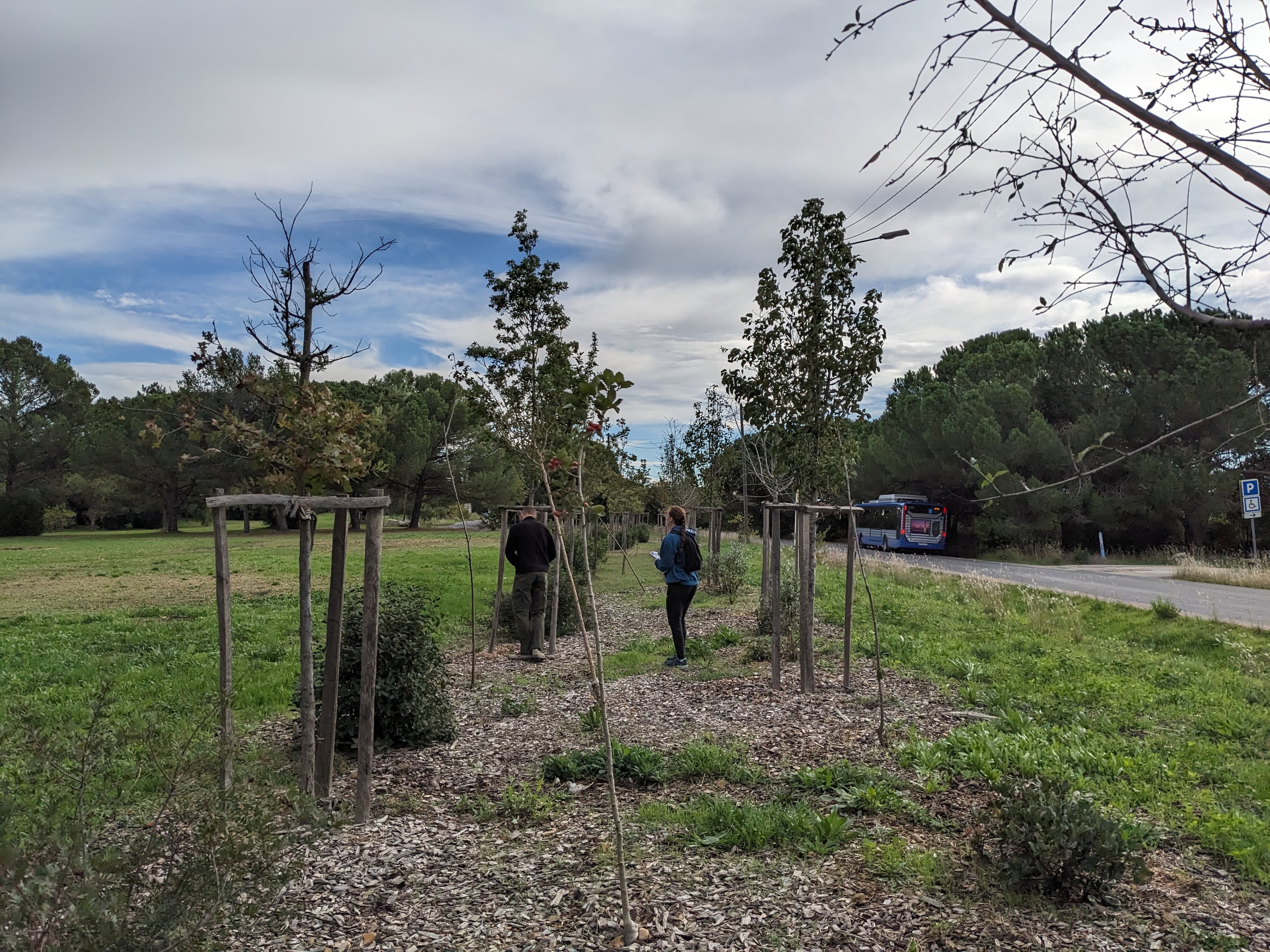 Suivi de biodiversité des sols et croissance des arbres