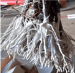 Poudre à pralinage