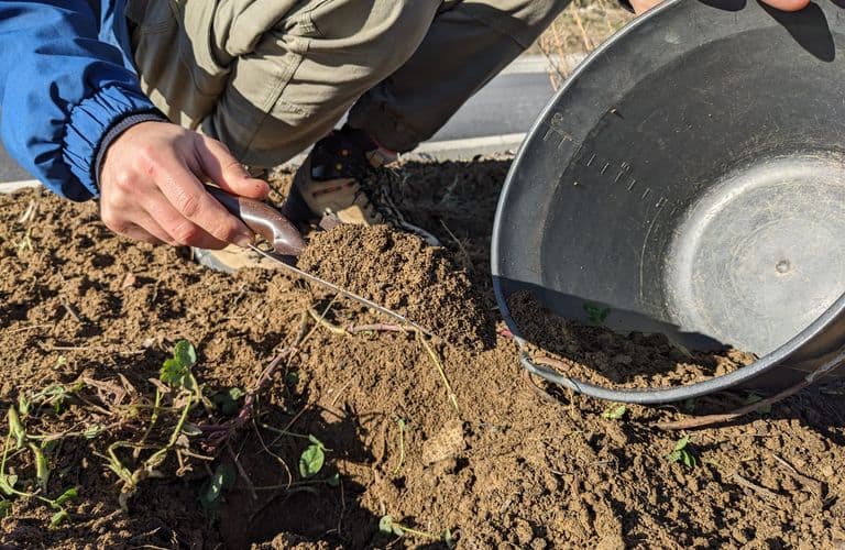 Toma de muestra de suelo en el terreno