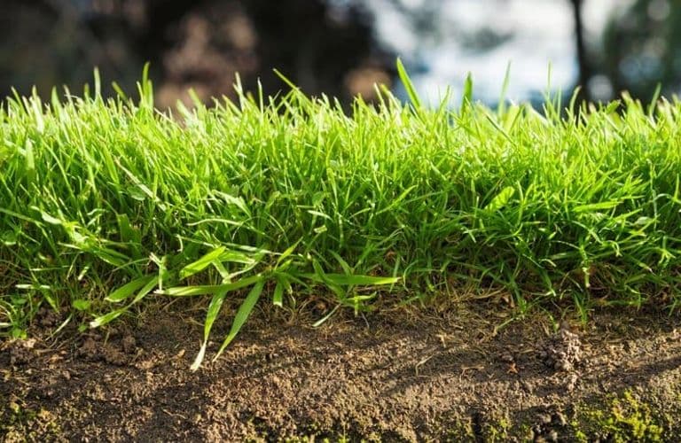 Foto que ilustra la transición agroecológica